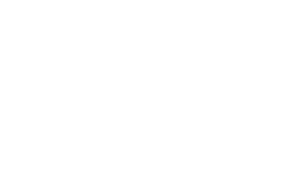 The Mars Project